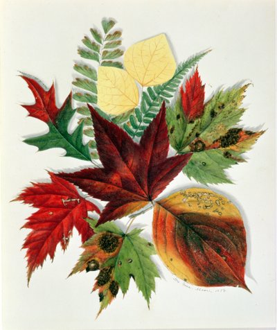 Autumn Leaves, 1858 by Nina Moore